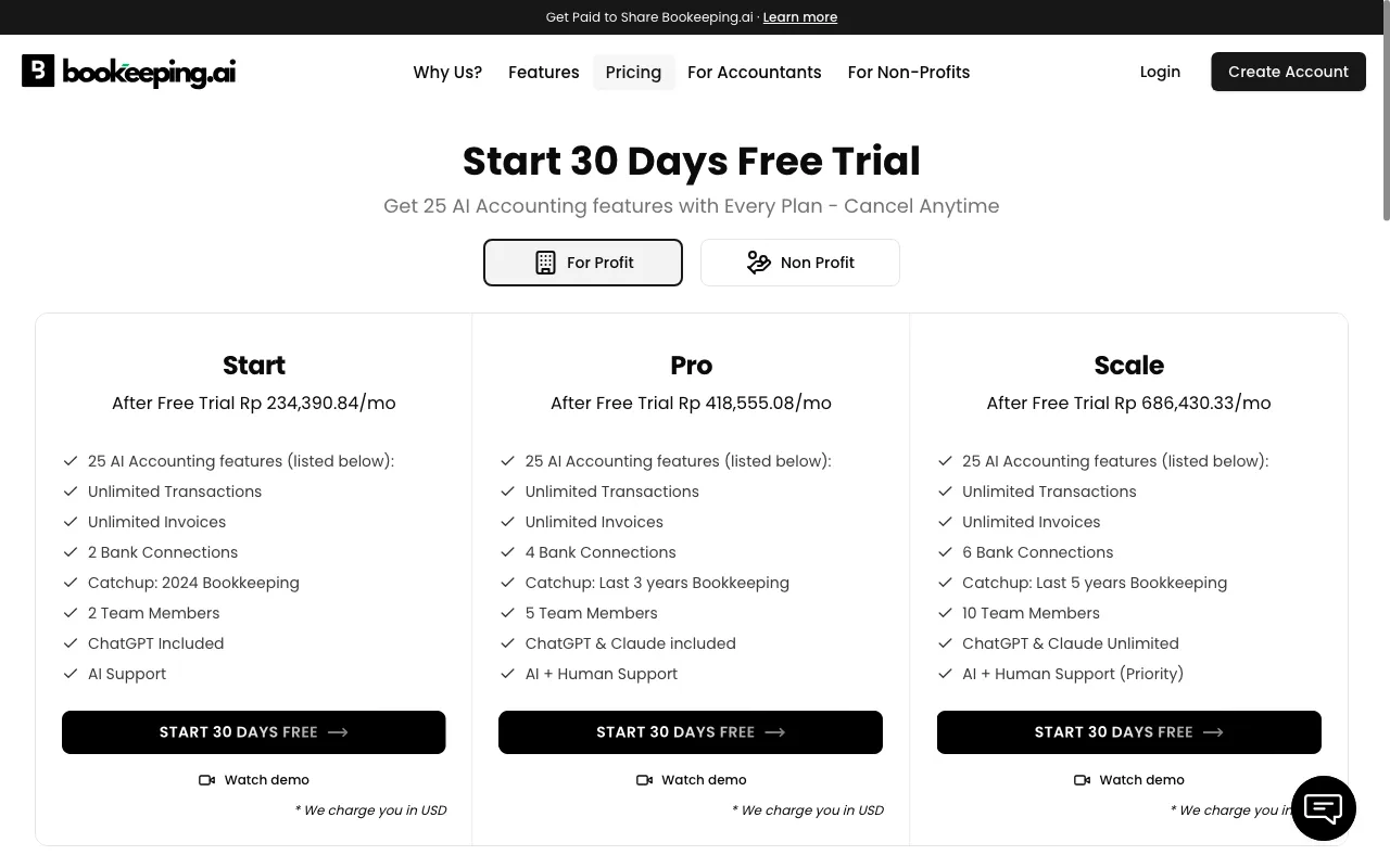 Accounting Solver AI — pricing page