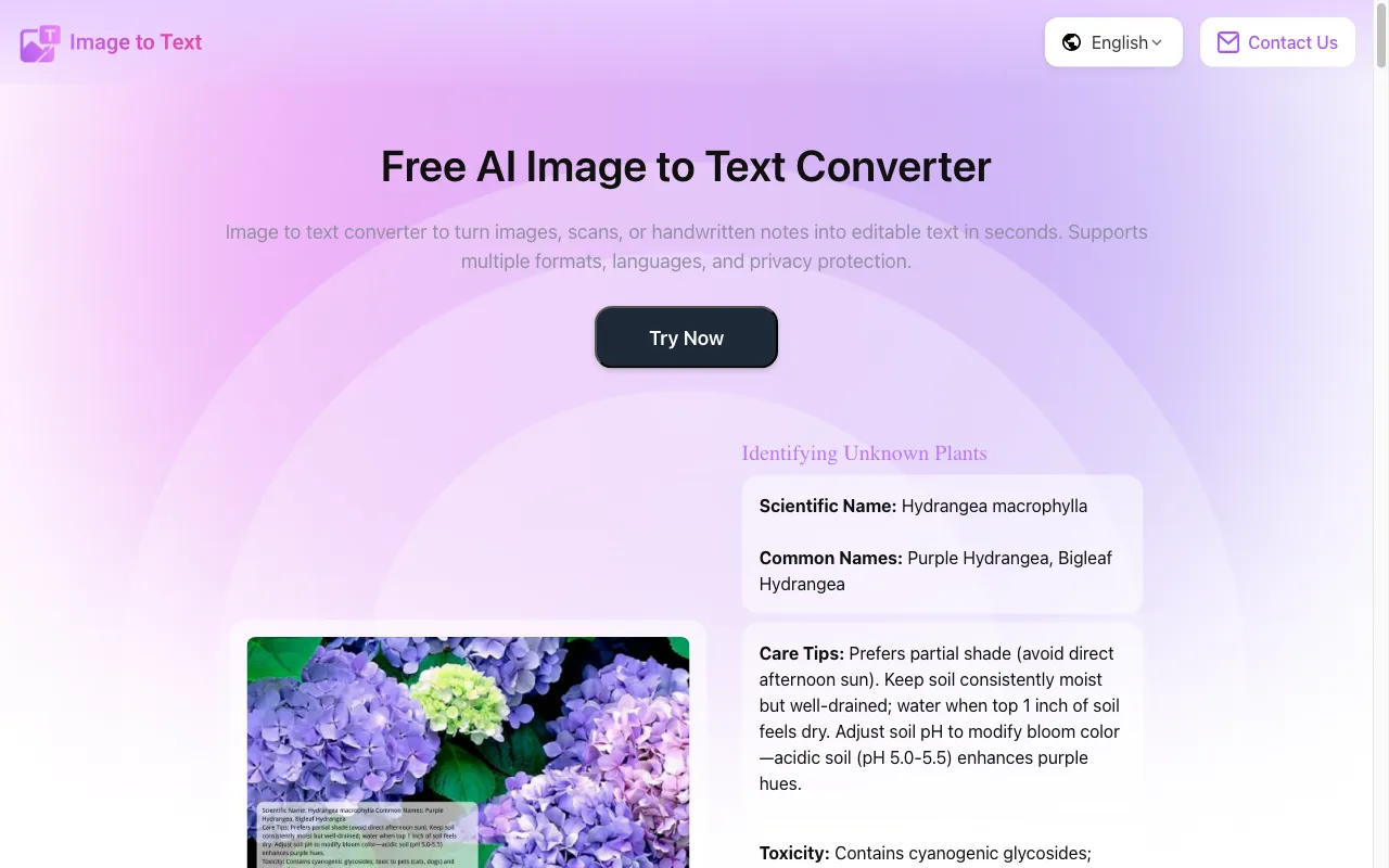 AIImagetoText — preview screenshot