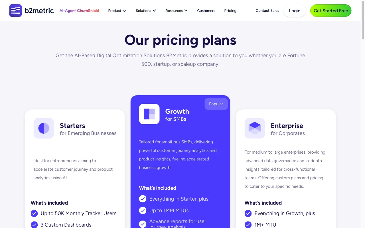 B2Metric — pricing page