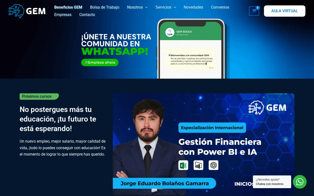 GEM TRAINING & CONSULTING SERVICE — preview screenshot