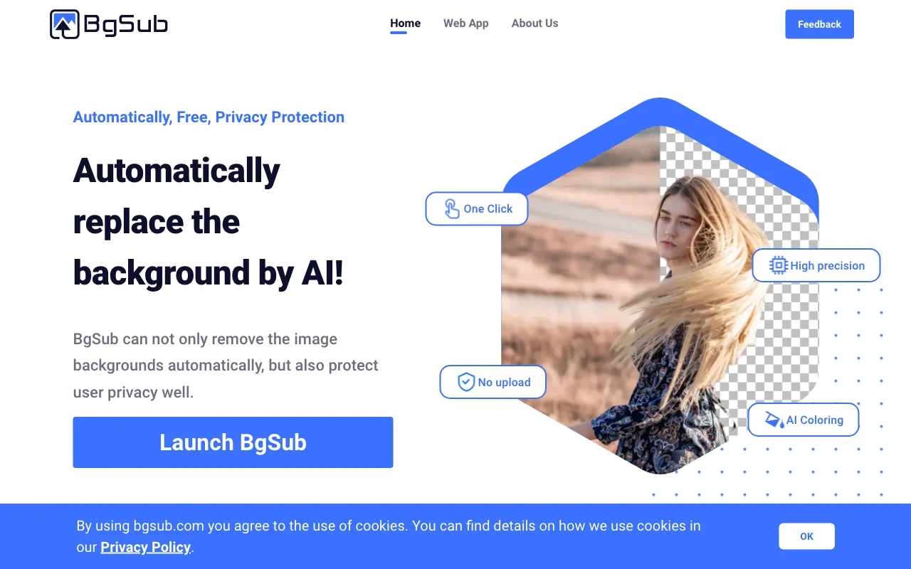 BgSub — preview screenshot