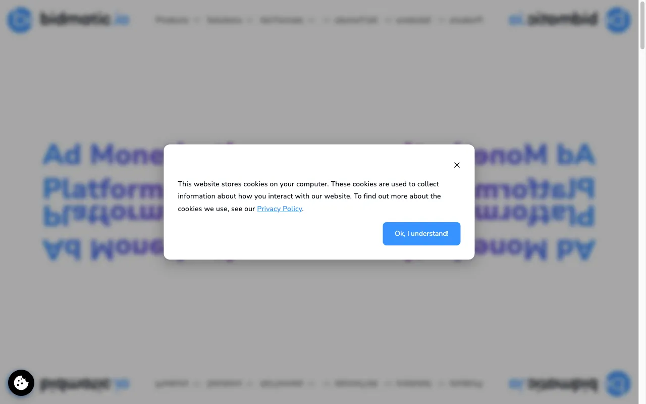 bidmatic.io — preview screenshot
