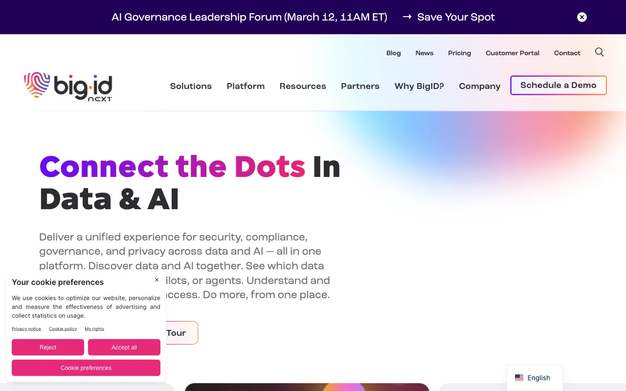 BigID — preview screenshot