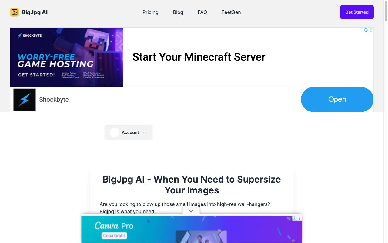 Bigjpg AI — preview screenshot