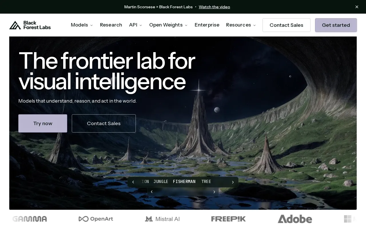 Black Forest Labs — preview screenshot