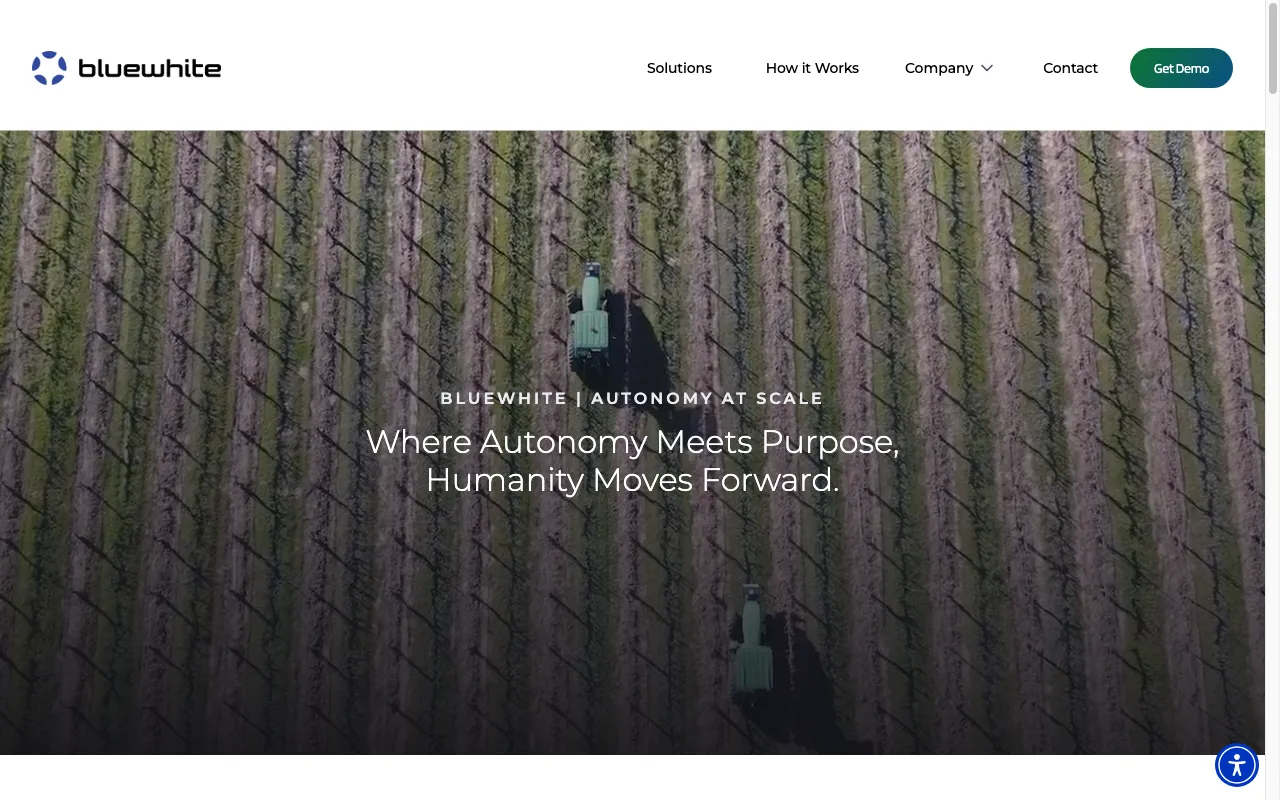 Bluewhite — preview screenshot