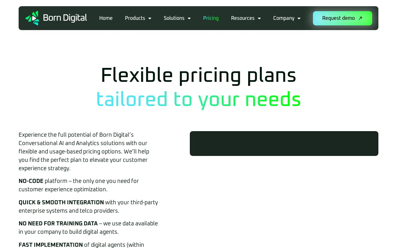 Born Digital — pricing page