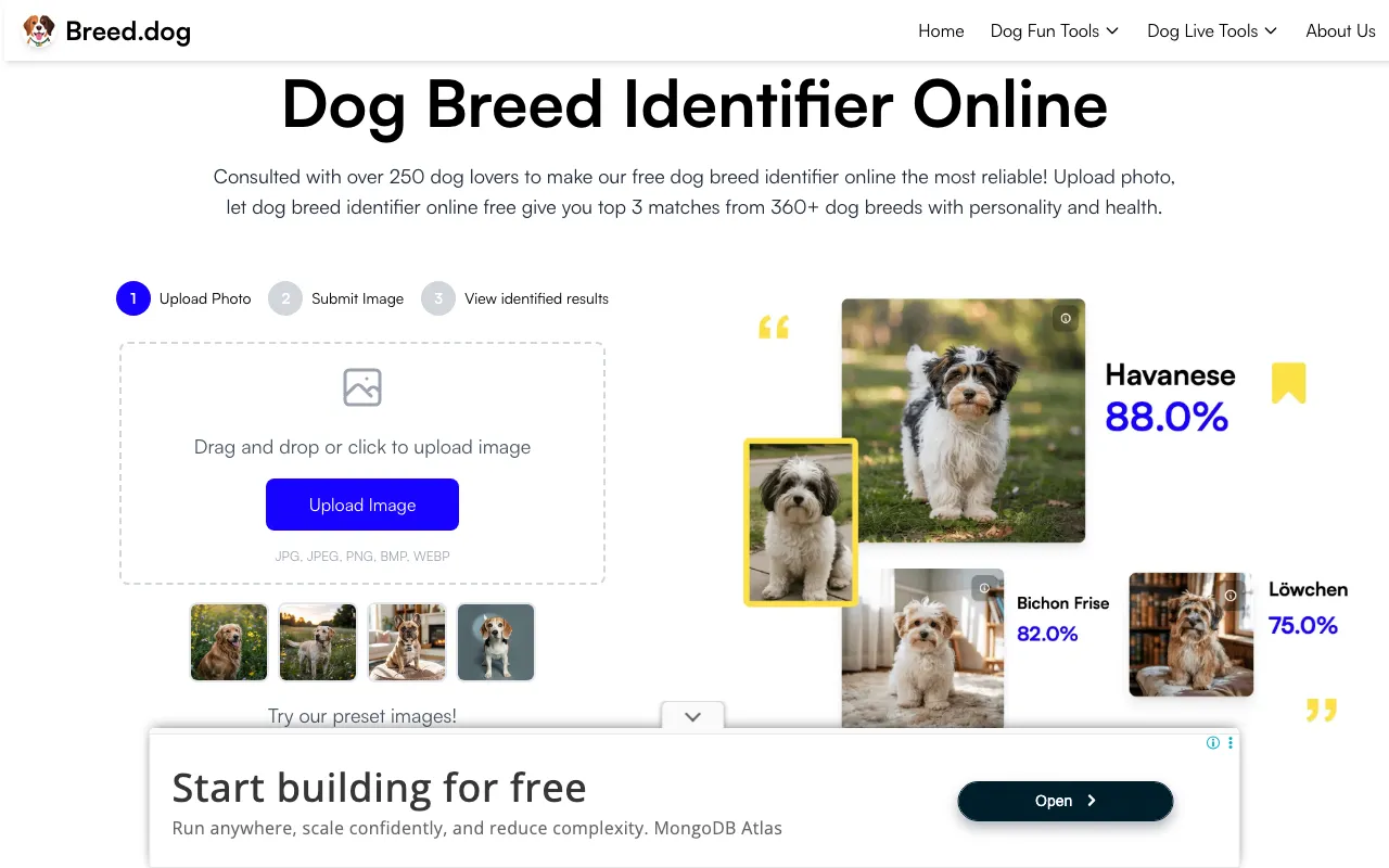 Breed.dog — preview screenshot