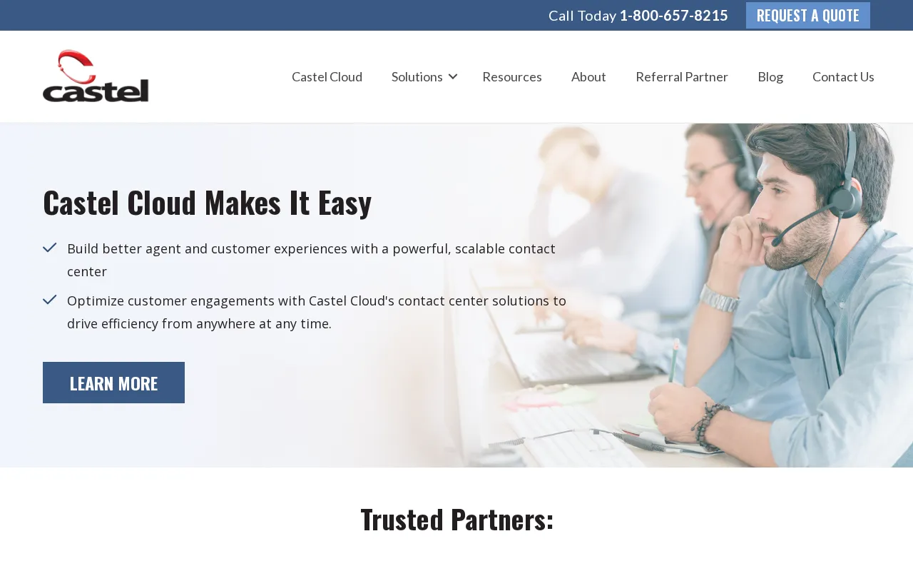 Castel Detect Live — preview screenshot