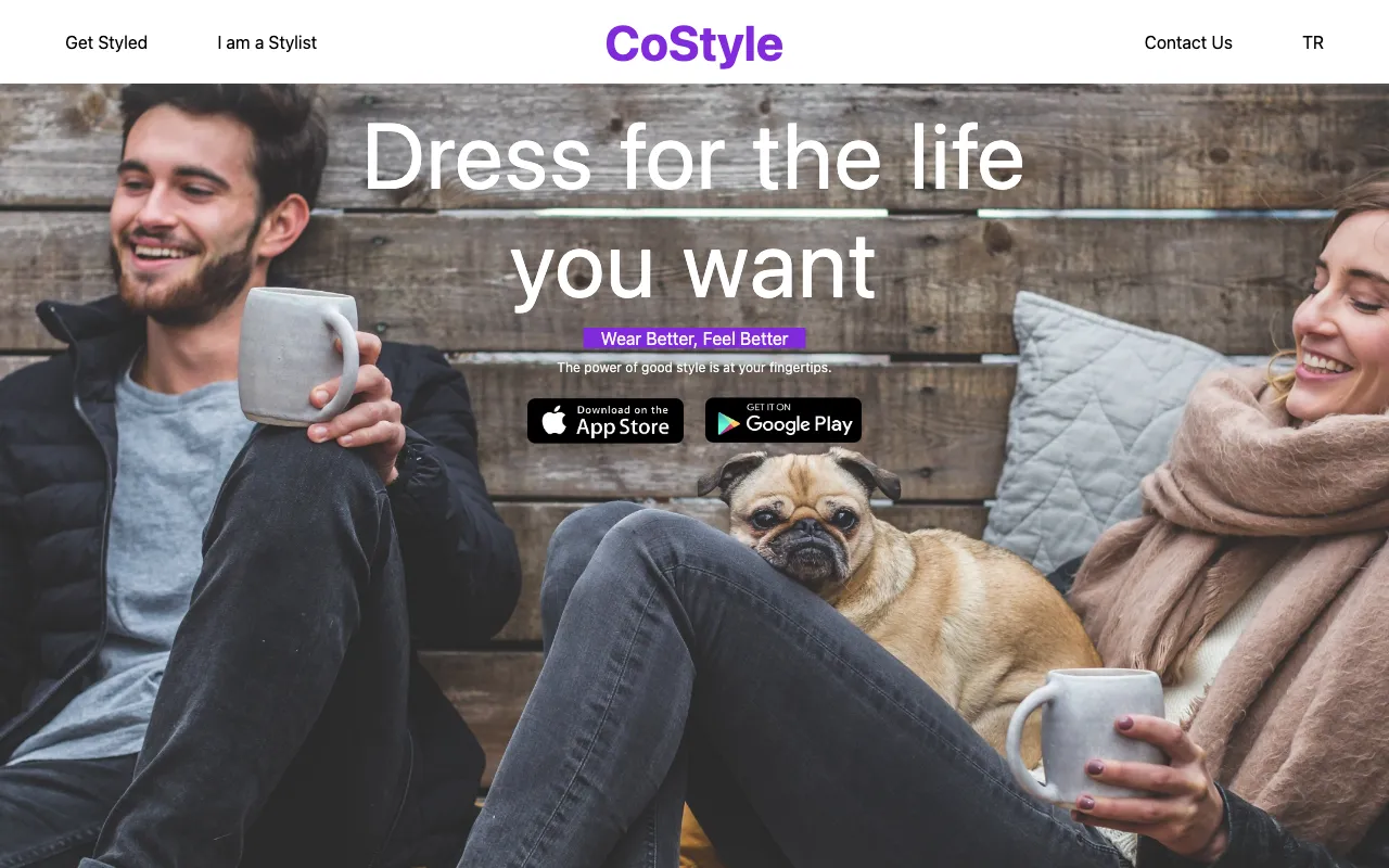 CoStyle — preview screenshot