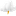 Selfstorm