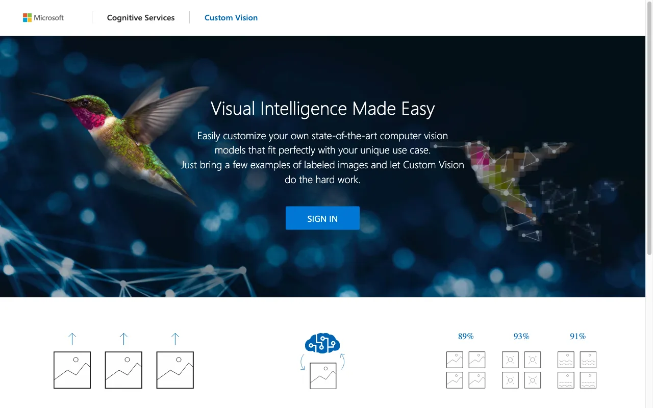 Custom Vision — preview screenshot