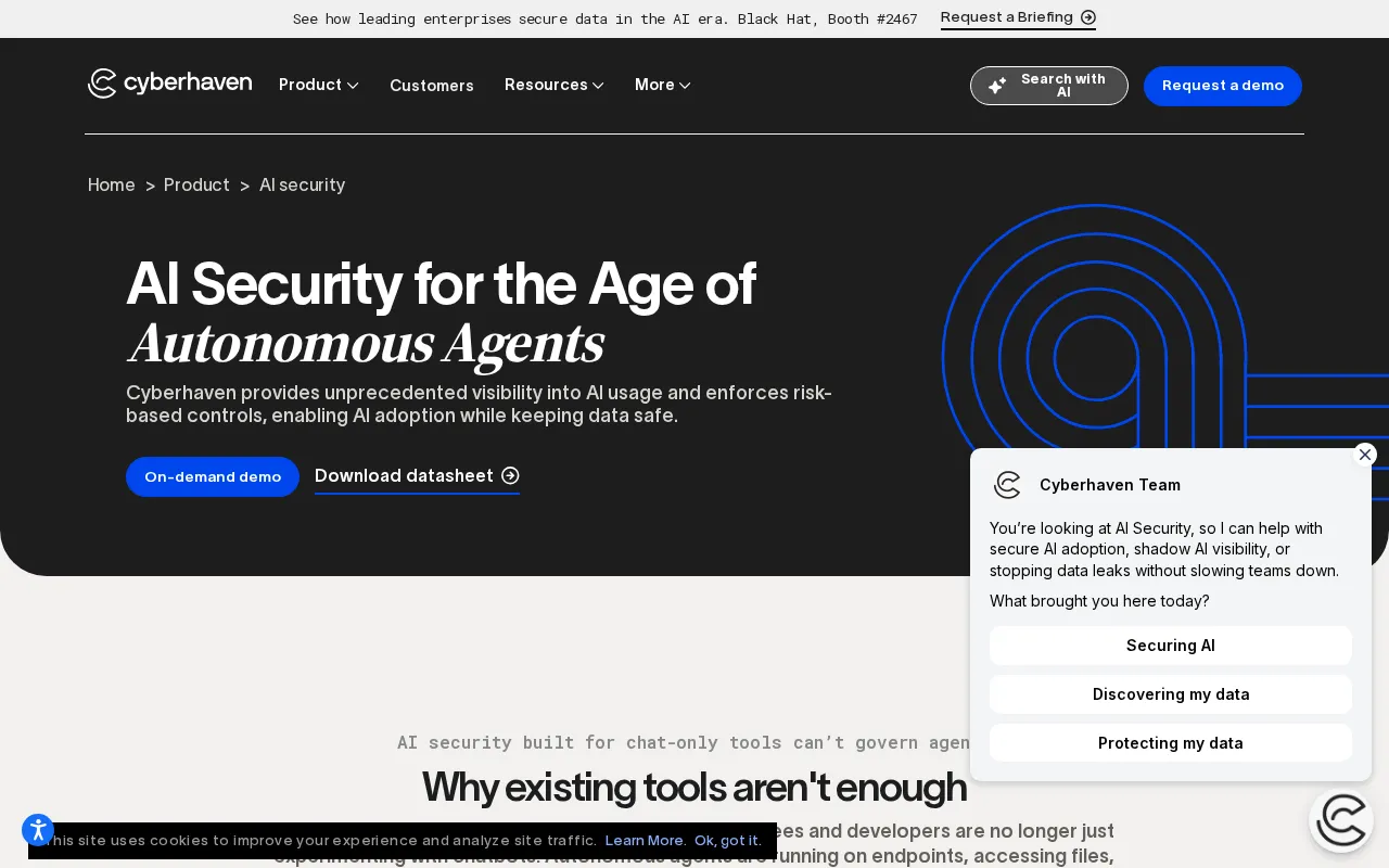 Cyberhaven — preview screenshot