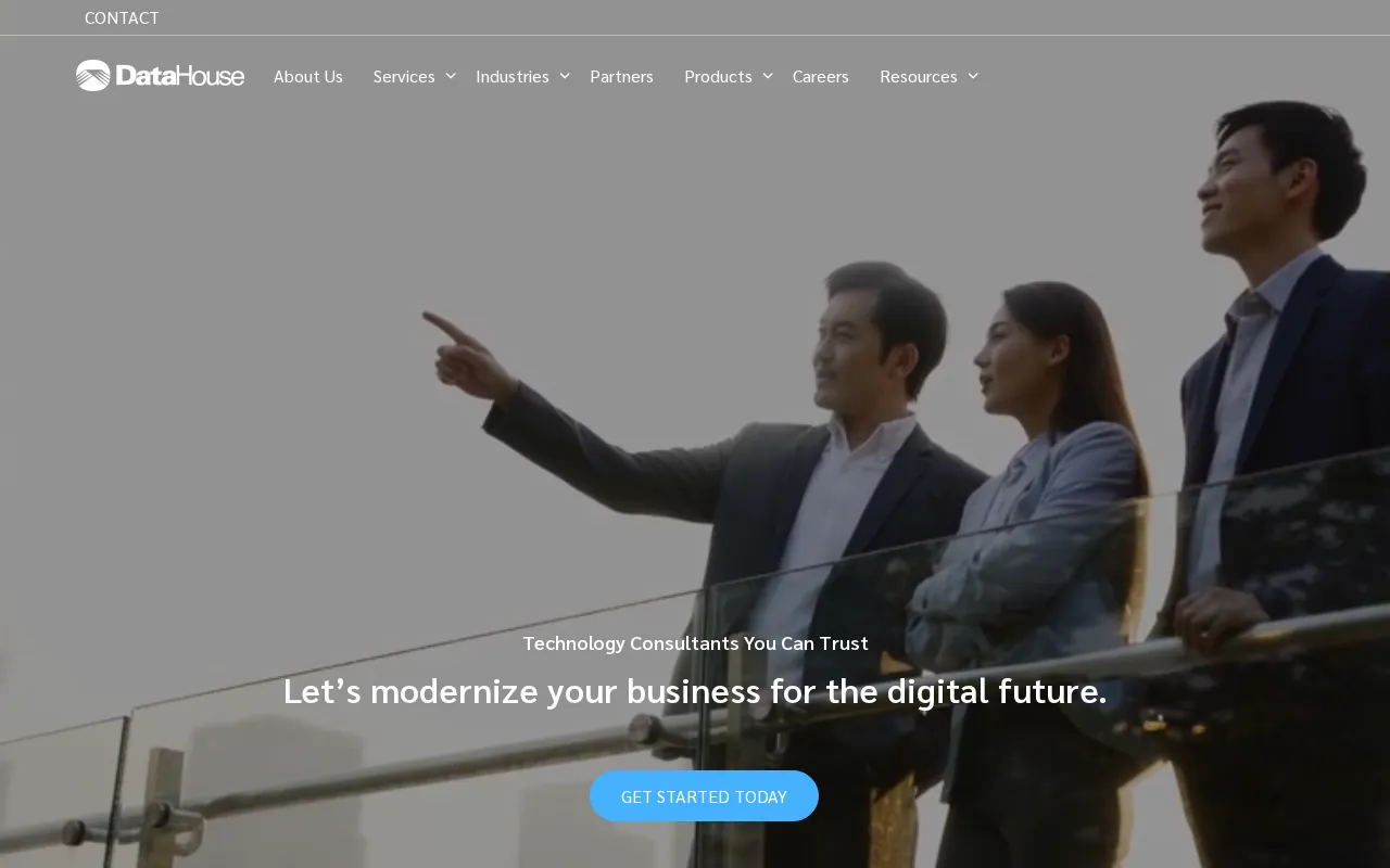 DataHouse - Local Solutions. Global Impact. — preview screenshot