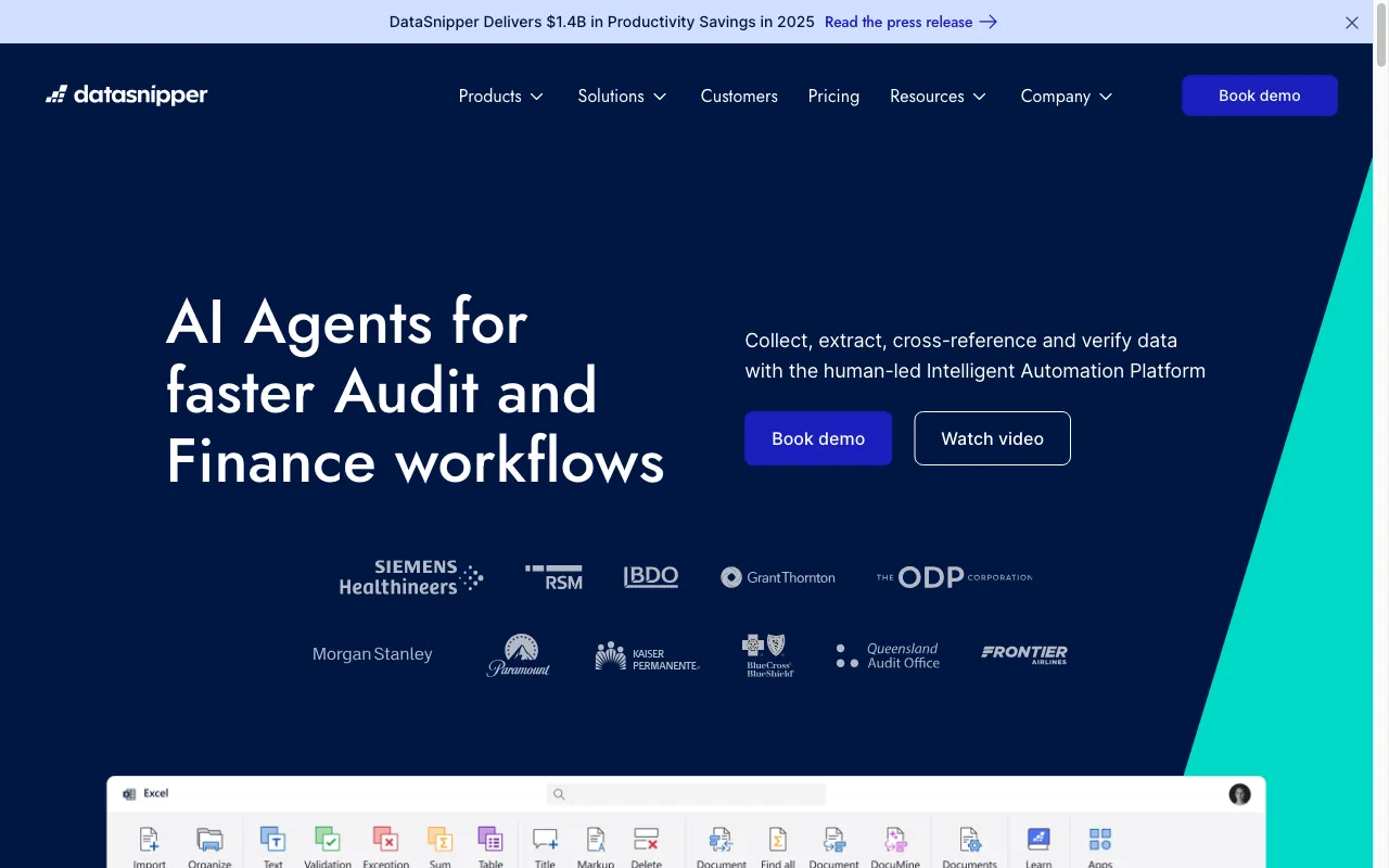 DataSnipper — preview screenshot