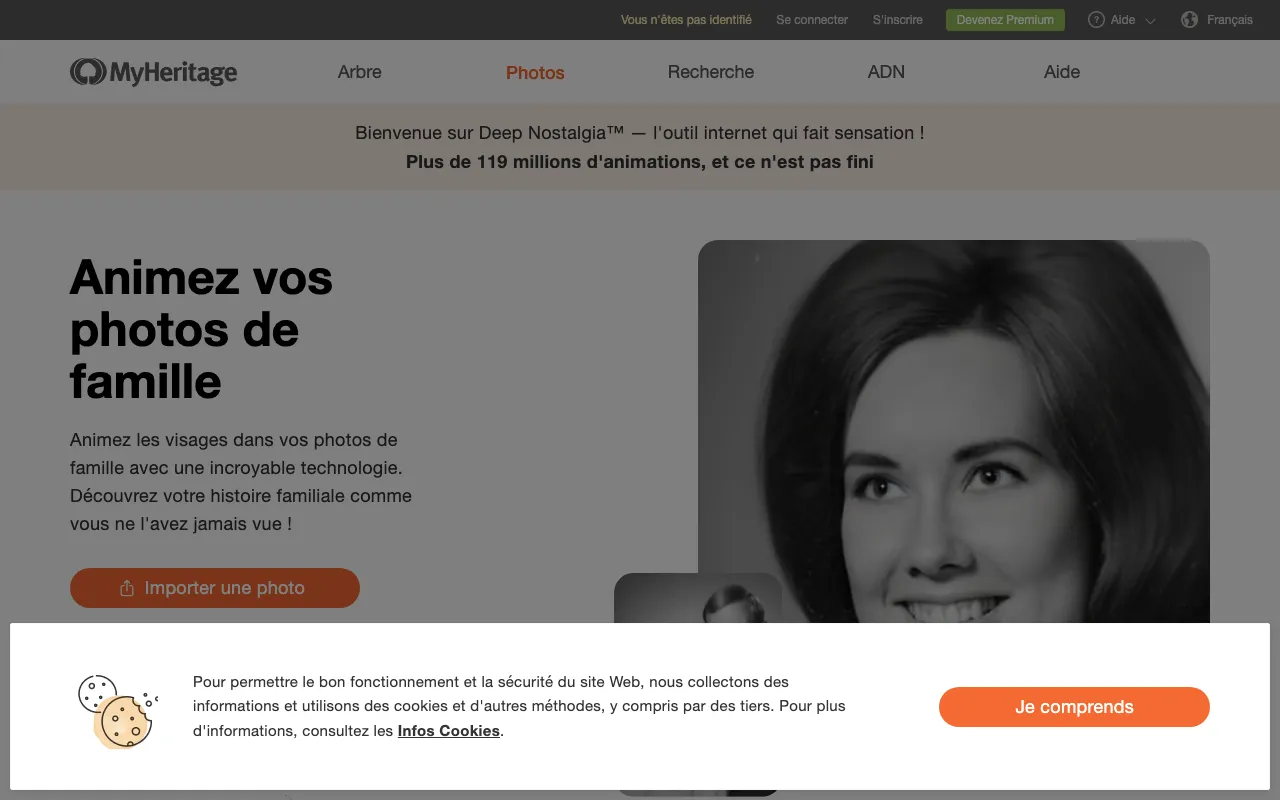 MyHeritage — preview screenshot