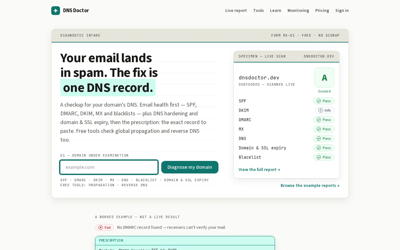 DNS Doctor — preview screenshot