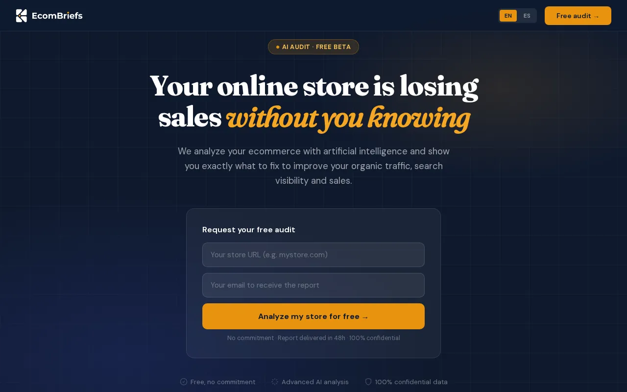 EcomBriefs — preview screenshot
