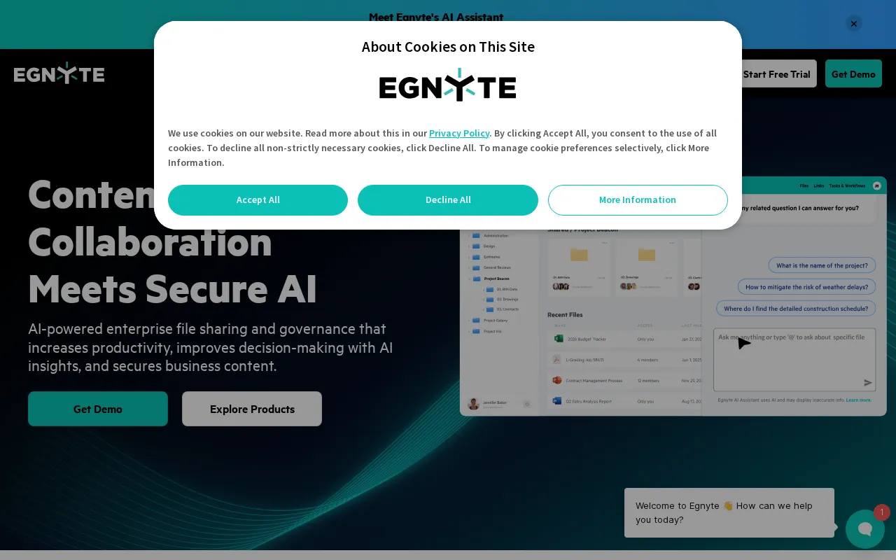 Egnyte — preview screenshot
