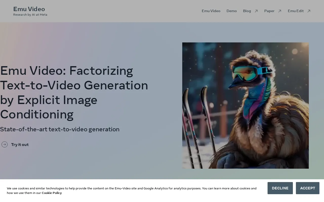 Emu Video — preview screenshot