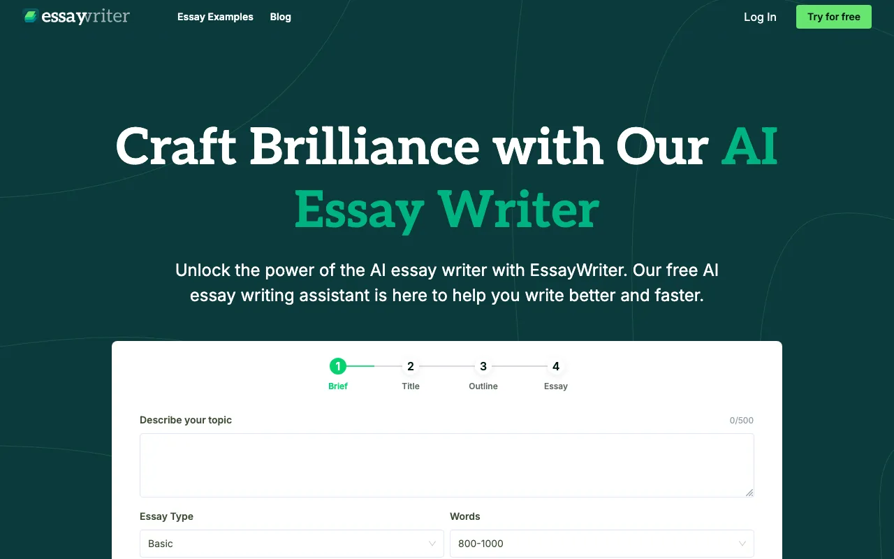 EssayWriter io — preview screenshot
