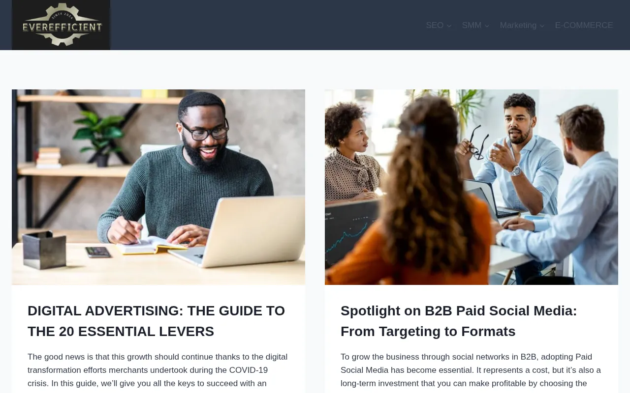 everefficient.ai — pricing page