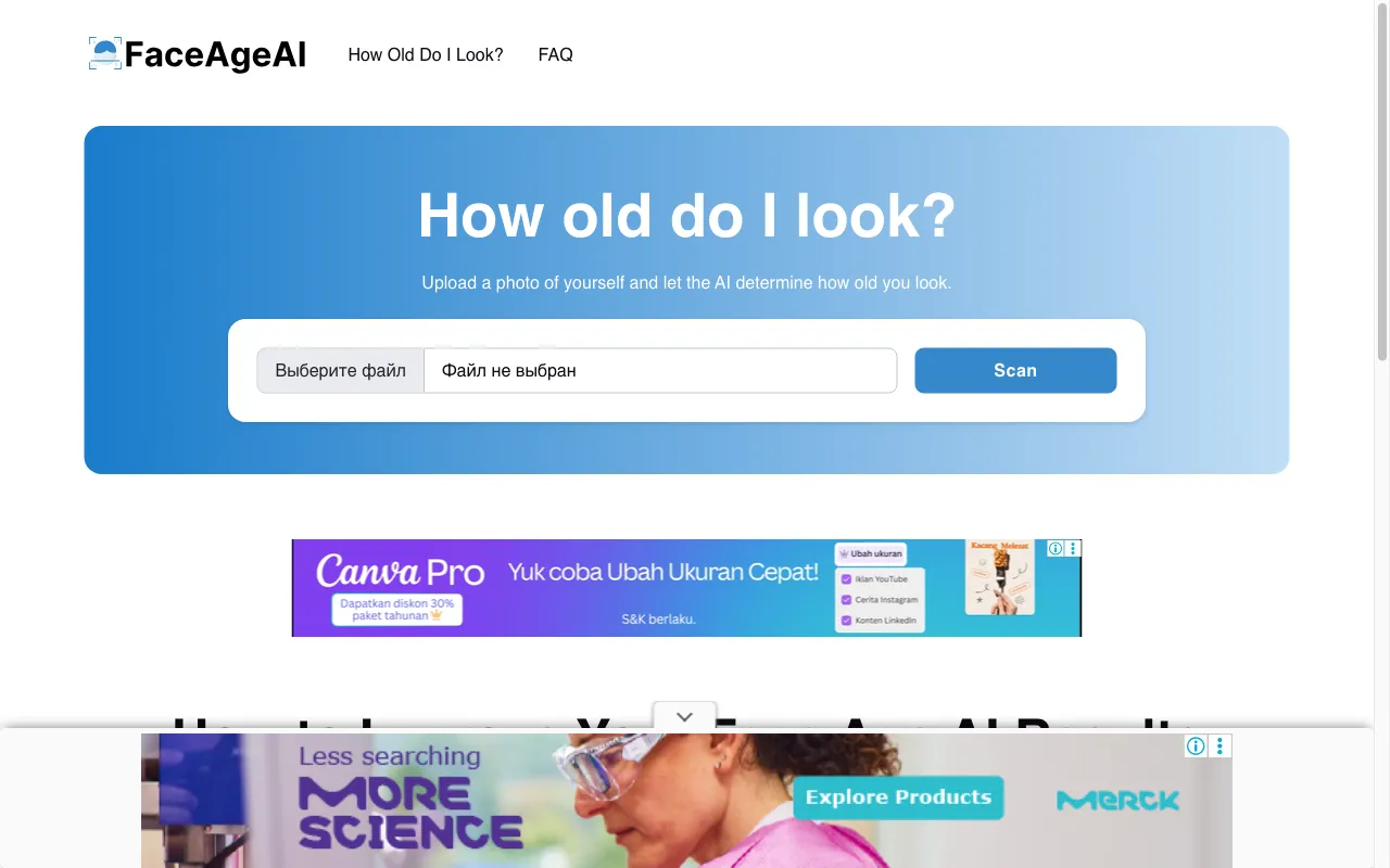 How Old Do I Look? — preview screenshot