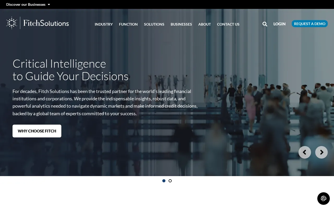 Fitch Solutions — preview screenshot