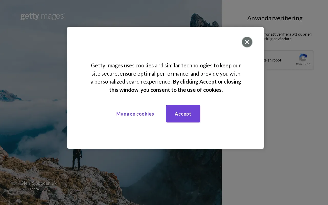 Getty Images — preview screenshot