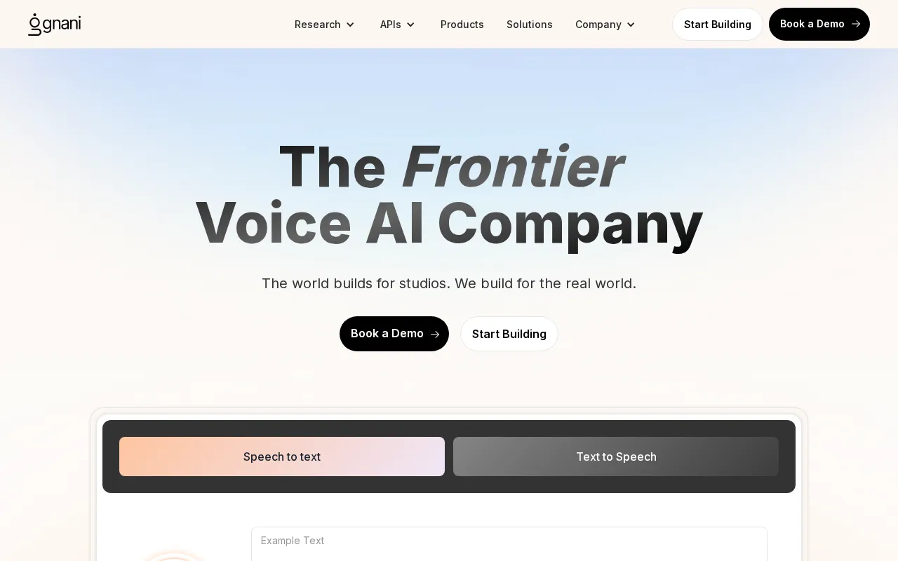Gnani.ai — preview screenshot