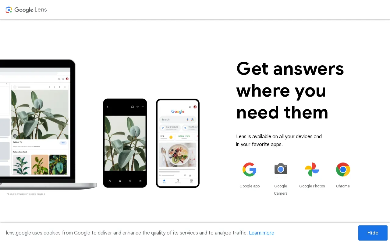 Google Lens — preview screenshot