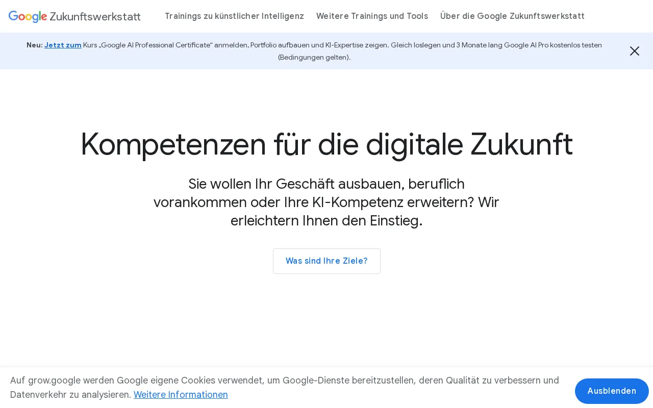 Google Zukunftswerkstatt — preview screenshot