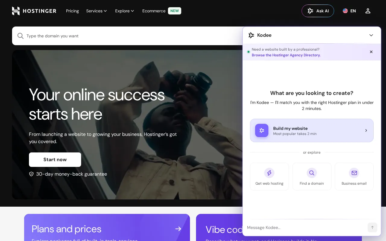 Hostinger — preview screenshot