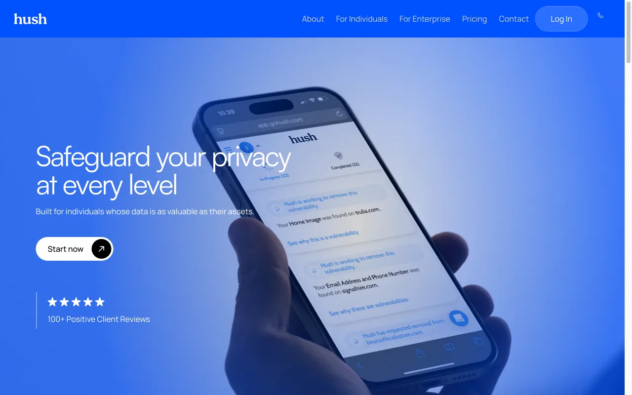 Hush Privacy AI — preview screenshot