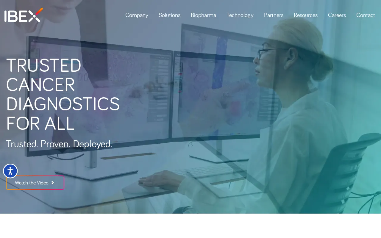 ibex-ai.com — preview screenshot