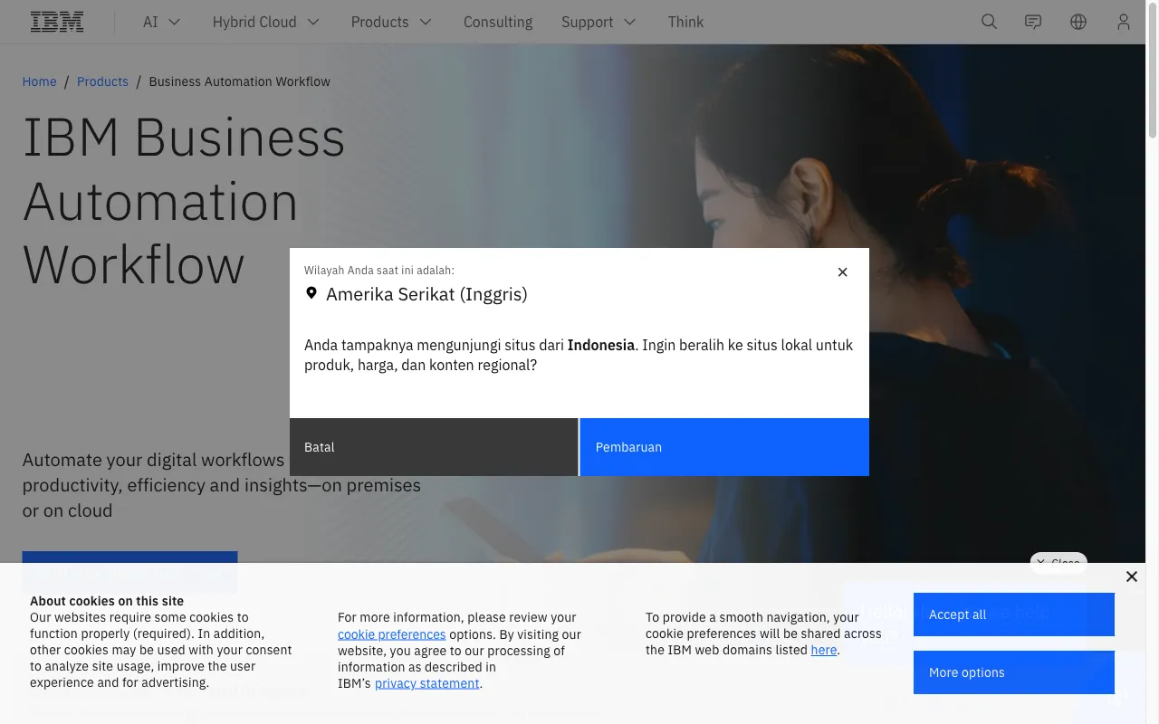 IBM BPM — preview screenshot