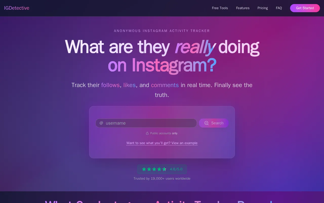 IGDetective — preview screenshot