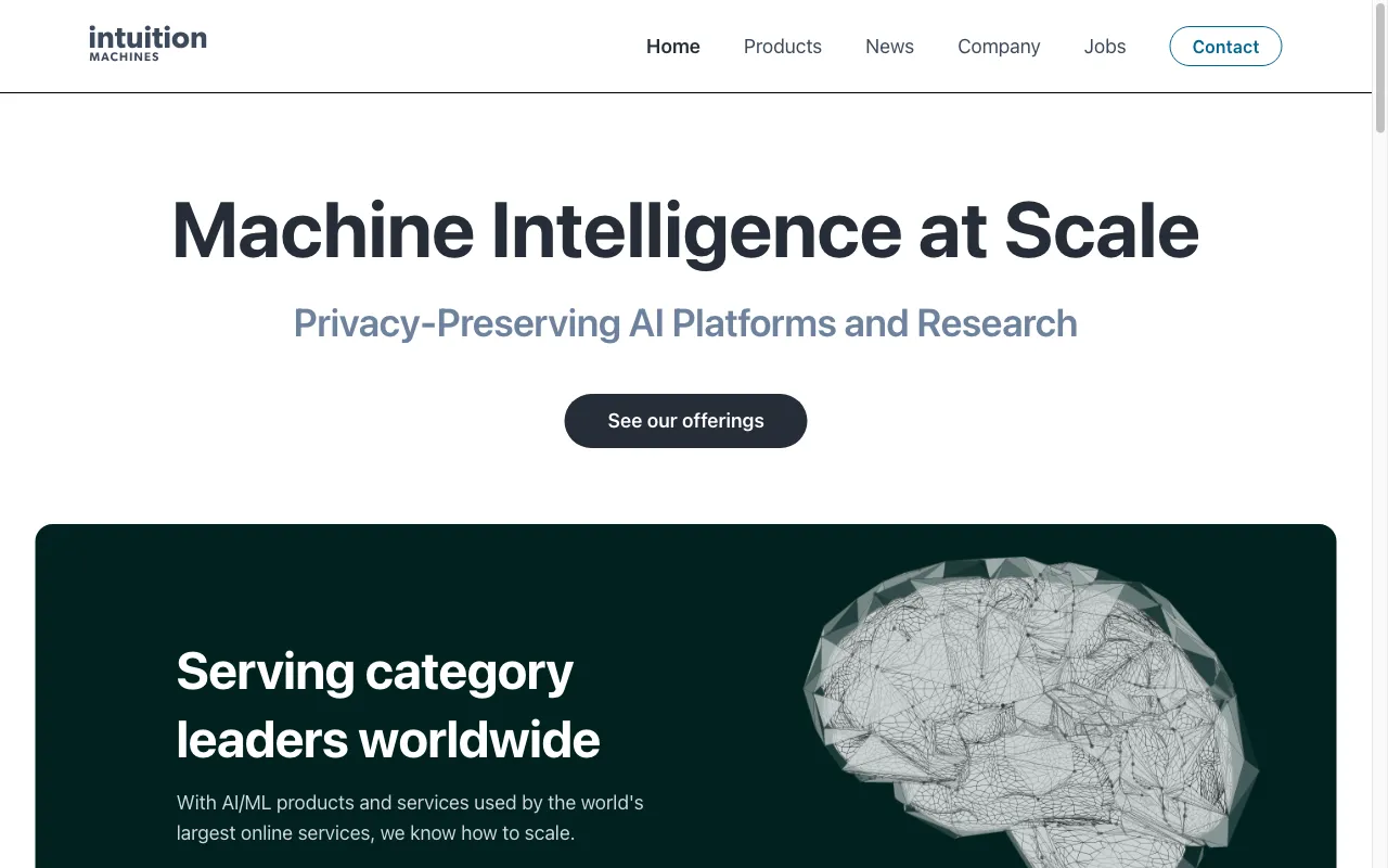 Intuition Machines — preview screenshot