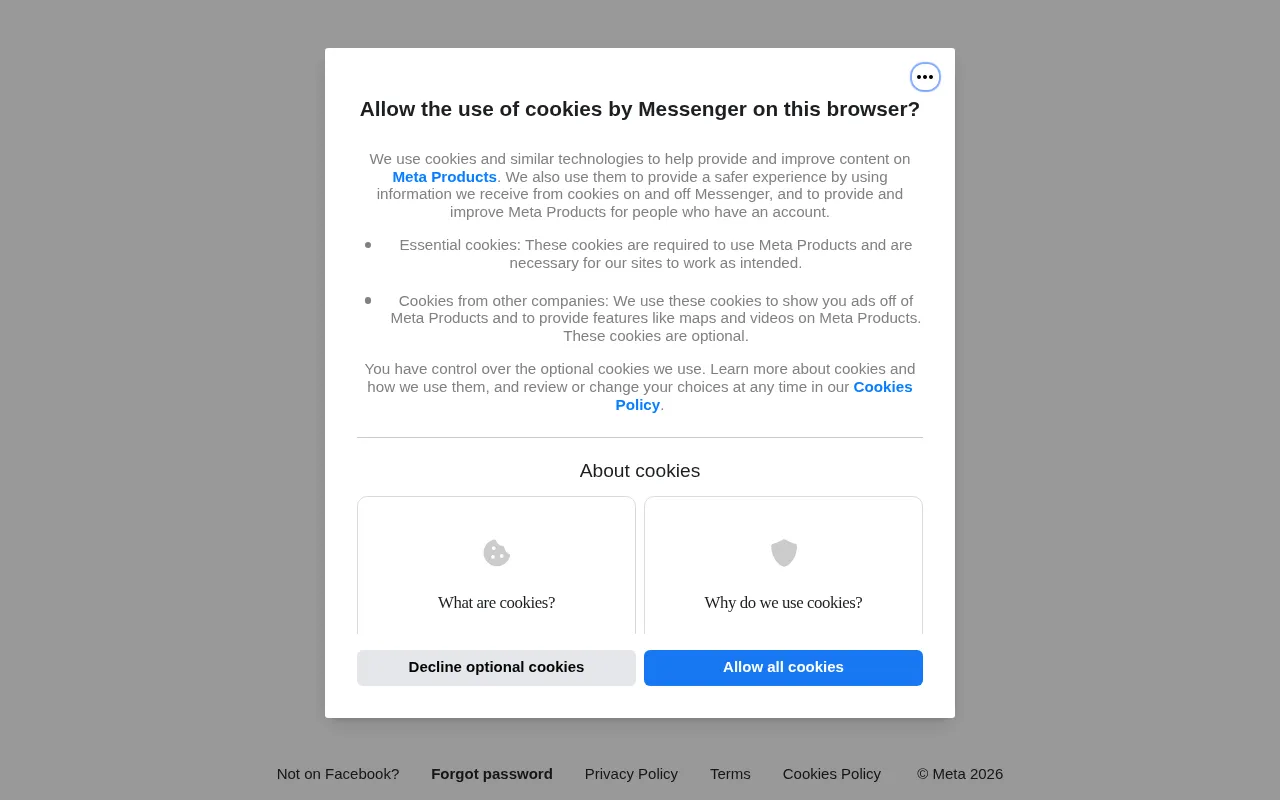 Lenny Bot for Messenger — preview screenshot