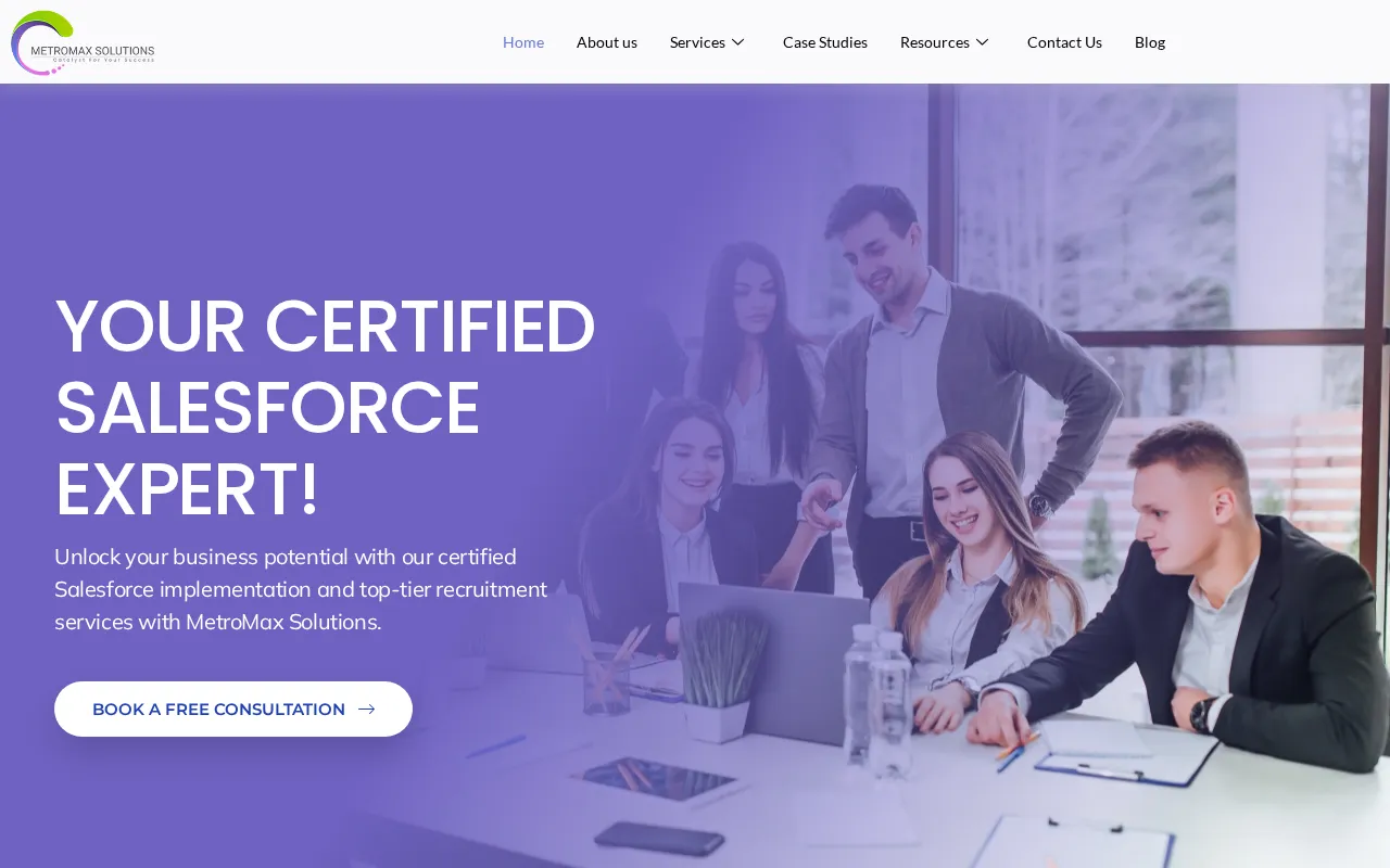 MetroMax Solutions | Crafting Custom Software, Web, and App Solutions — preview screenshot