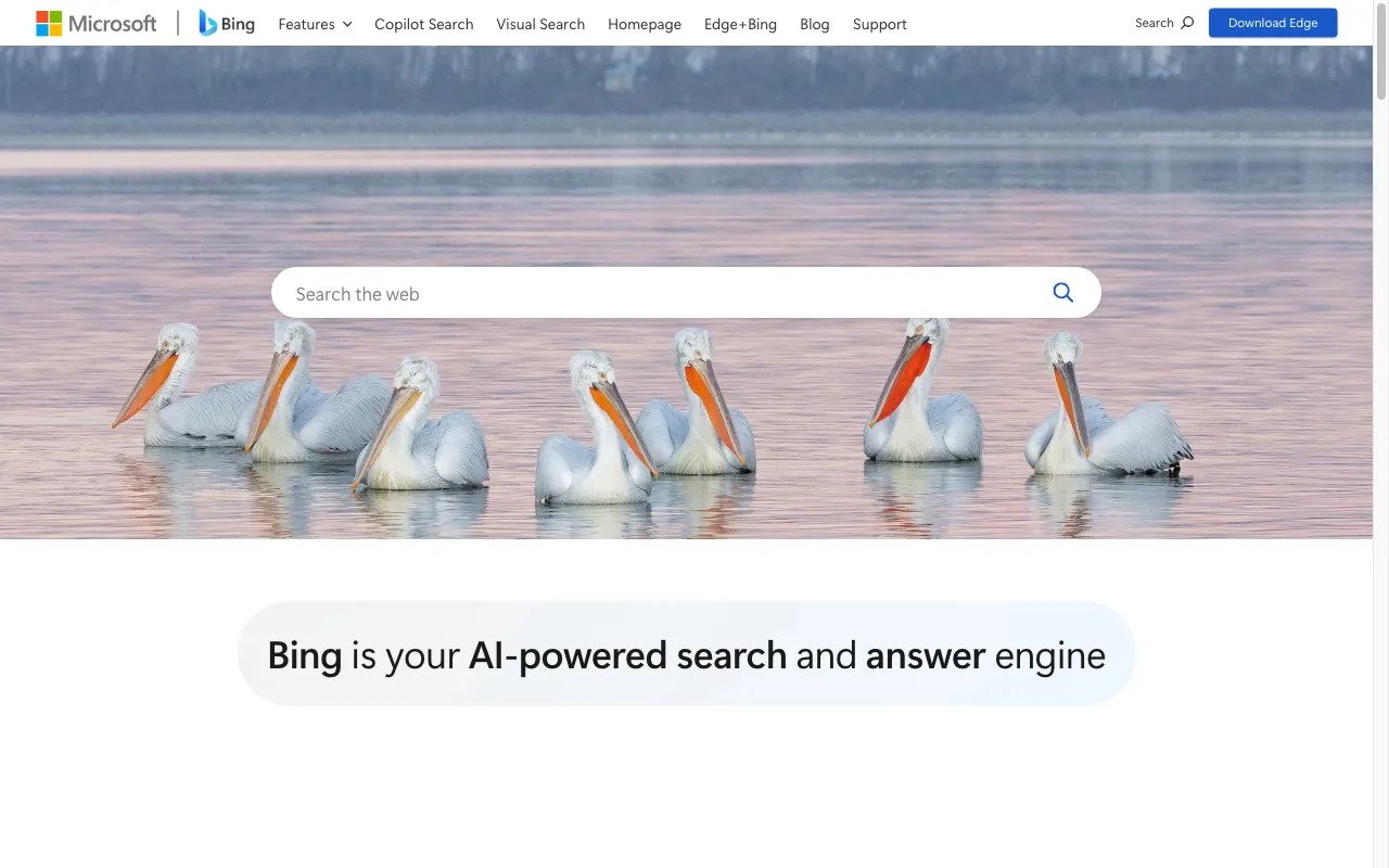 Microsoft Bing — preview screenshot