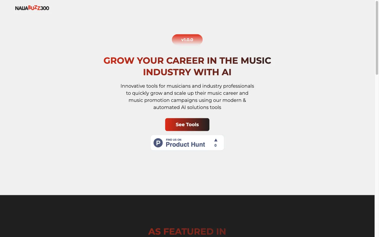NaijaBuzz300 — preview screenshot