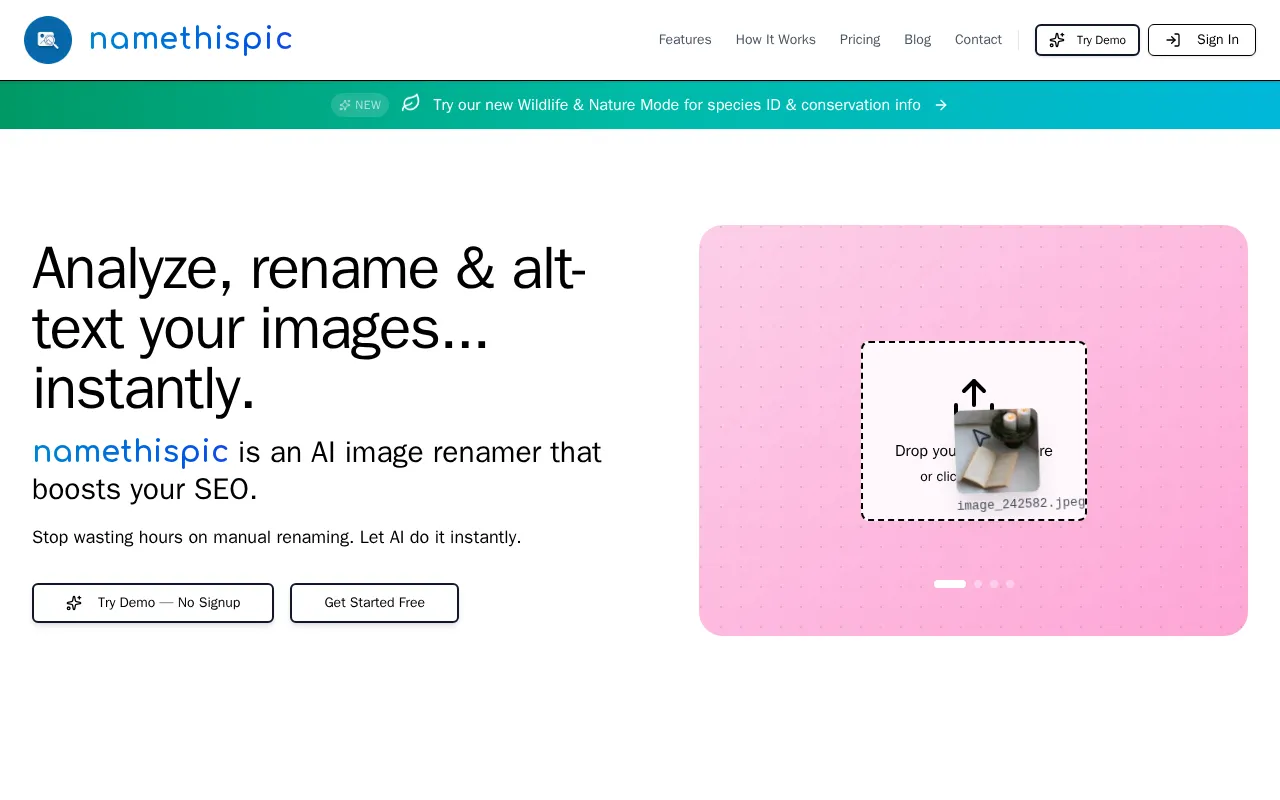 namethispic — preview screenshot