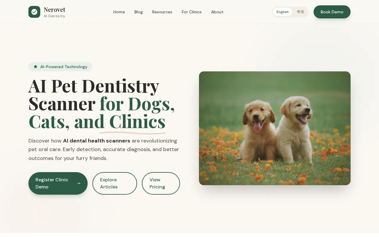 Nerovet AI dentistry — preview screenshot