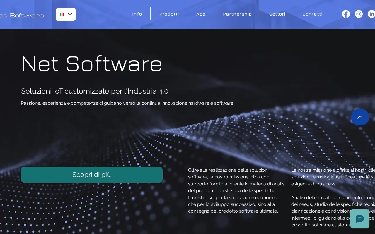 Net Software — preview screenshot