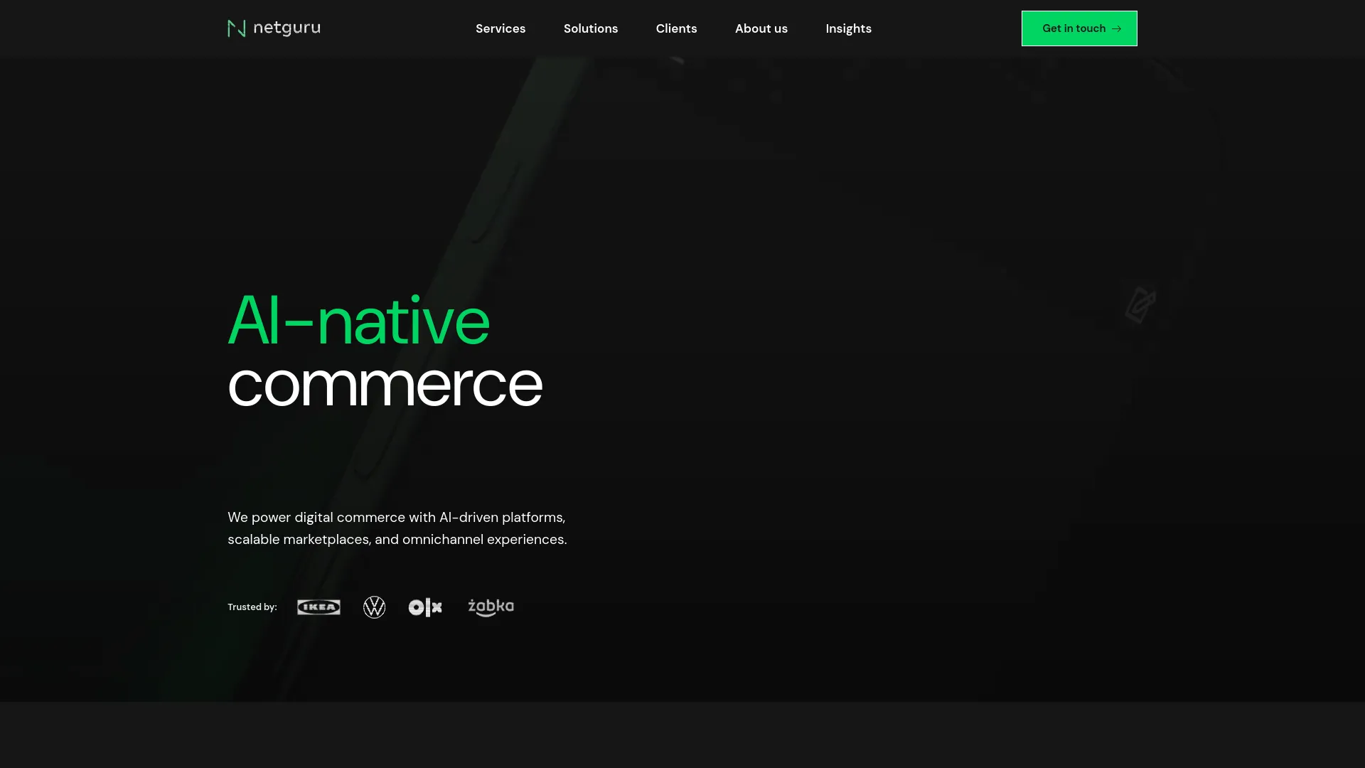 Netguru — preview screenshot
