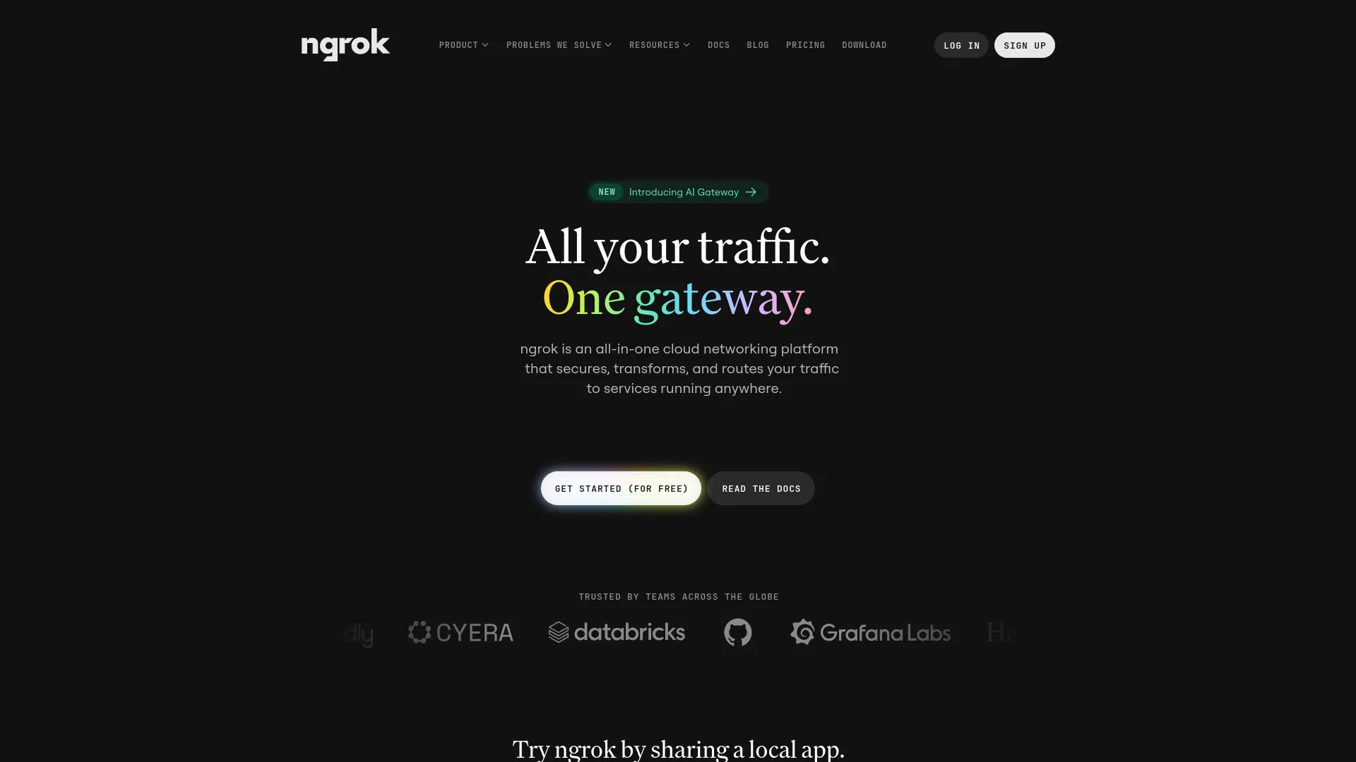Ngrok — preview screenshot