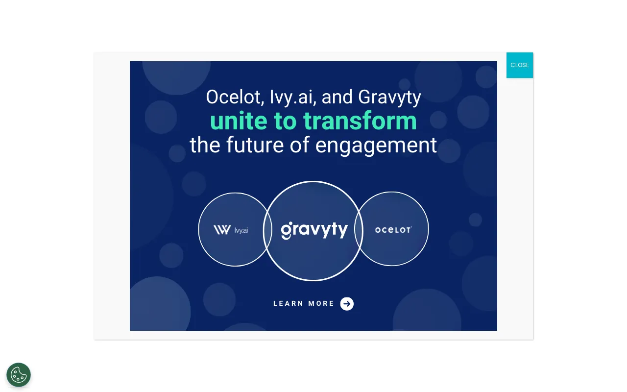 Ocelot | Higher Education Student Engagement Platform — preview screenshot