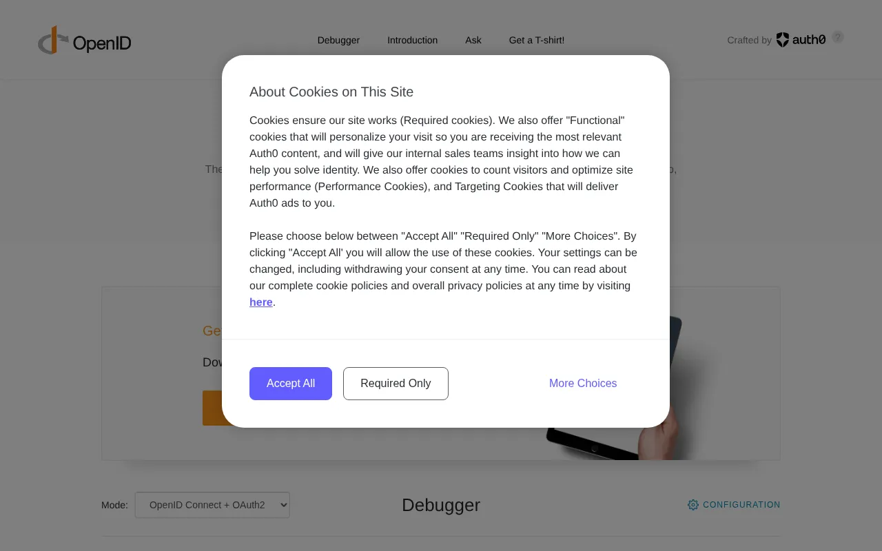 OpenID Connect Playground — preview screenshot