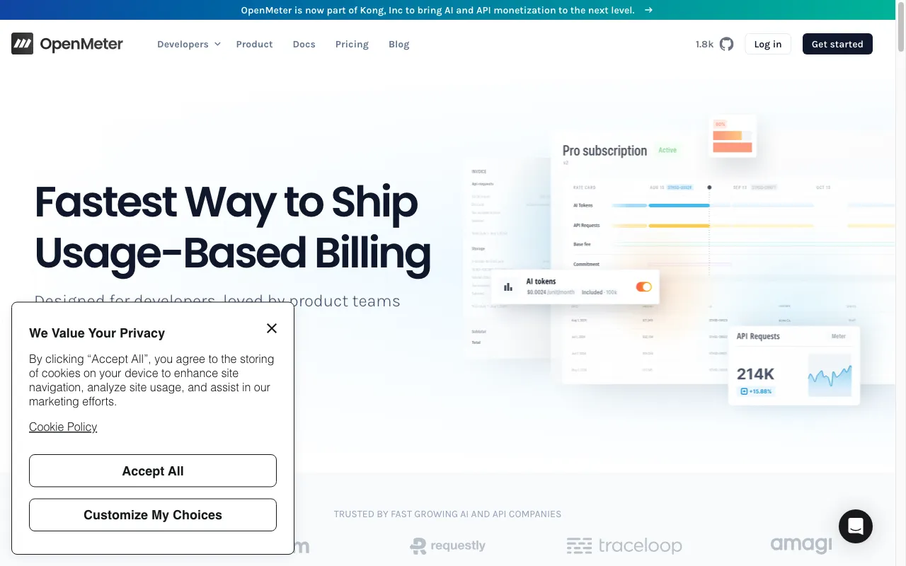 OpenMeter — preview screenshot